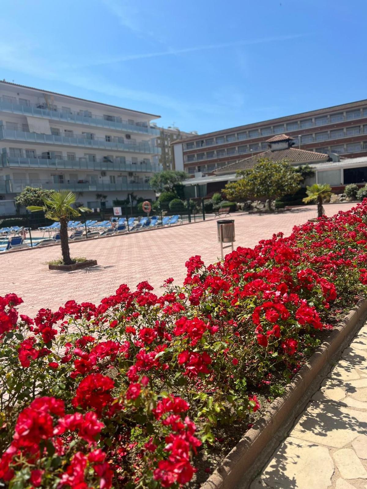 Apcostas Els Pins Lotus Apartment Blanes Exterior foto